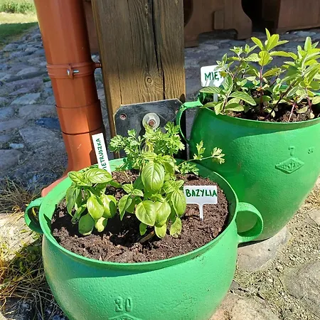 Borecka - Z Sauna I Balia, Nad Jeziorem